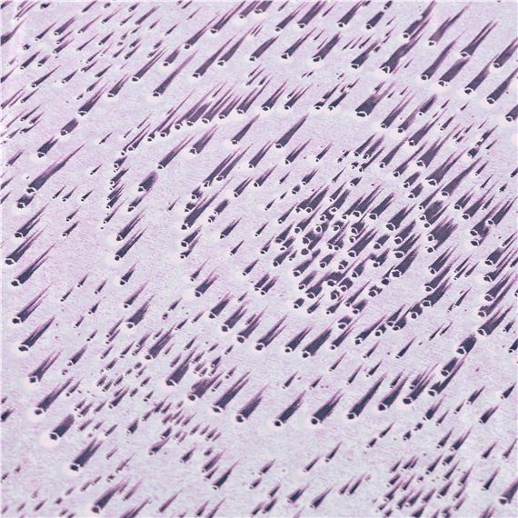 Concetto spaziale' fabric - Lucio Fontana