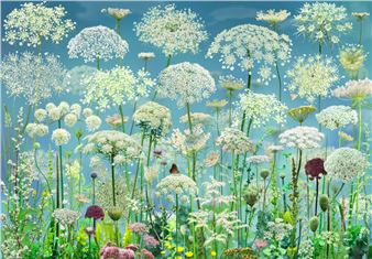 New Collection Presentation - Museum MORE