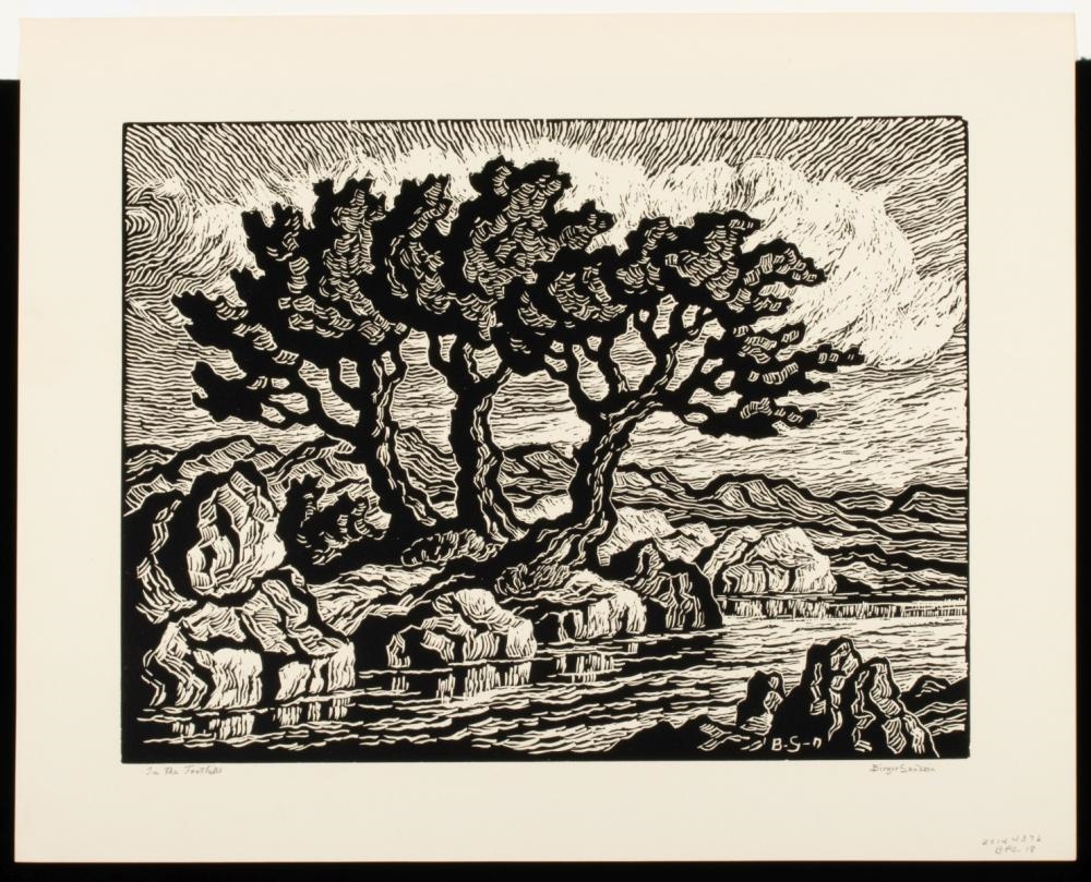 Artwork by Birger Sandzén, In the Foothills, Made of Linocut