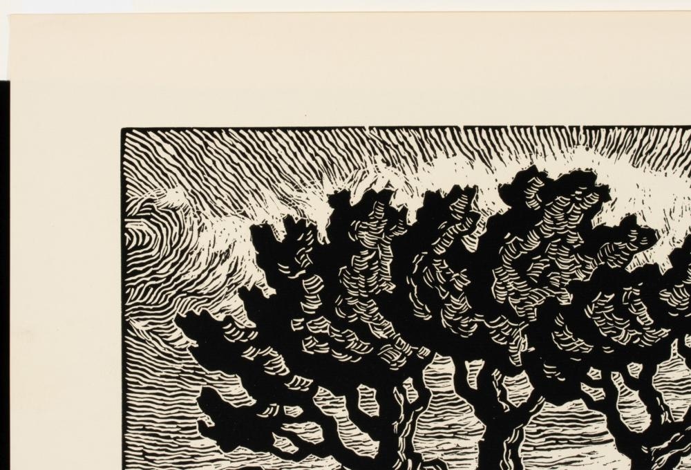 Artwork by Birger Sandzén, In the Foothills, Made of Linocut