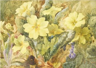 Still Life of 'Primroses - Francis Field