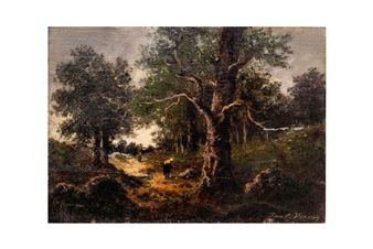 Forest scene