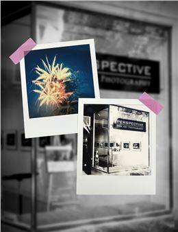 15 years in an instant - Perspective Gallery