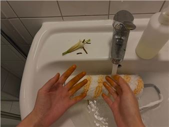 Haiqing Wang: The newly bought lilies on the living room table smell suspicious - Rinde am Rhein