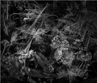 Moon Kyungwon & Jeon Joonho: News from Nowhere : Laboratory of Spring and Autumn Collection - SCAI the Bathhouse