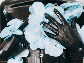 Helena Calmfors: Floral Disciplines - The Untitled Space