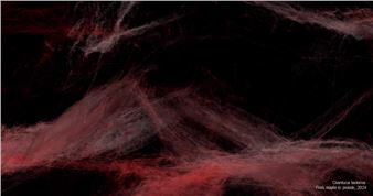 Root Unseen - CICA Museum