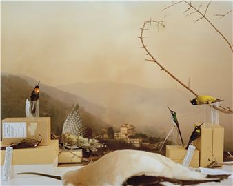 Emma Ressel: Extant Erosions - Houston Center for Photography