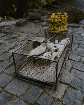 Sasha Arutyunova: Wind and Other Dangers - Houston Center for Photography