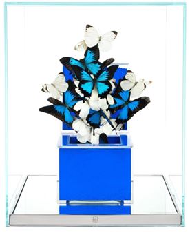 Bleu Klein Indonesia Pure - Roman Feral