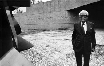 XX Bienal Rufino Tamayo - Museo Tamayo