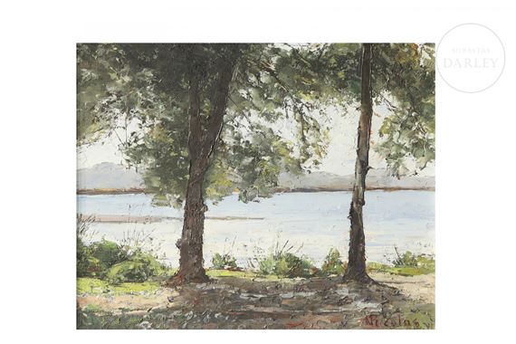 Pinos del Saler - Nicolás Forteza