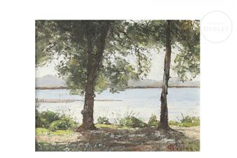 Pinos del Saler - Nicolás Forteza