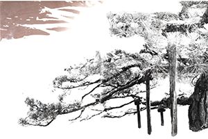 Gerald Incandela: Photographic Drawings