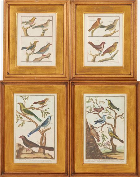 Fåglar - Italian School, 18th Century