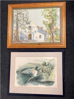 study of swallows at nest - C Hagemann-dodds