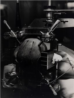 Untitled - Paul Almasy