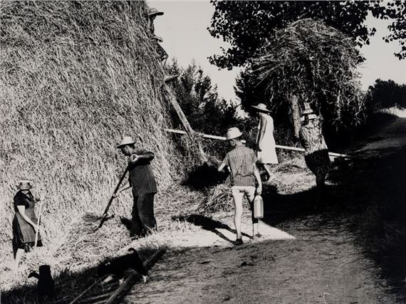 La Buona Terra - Mario Giacomelli