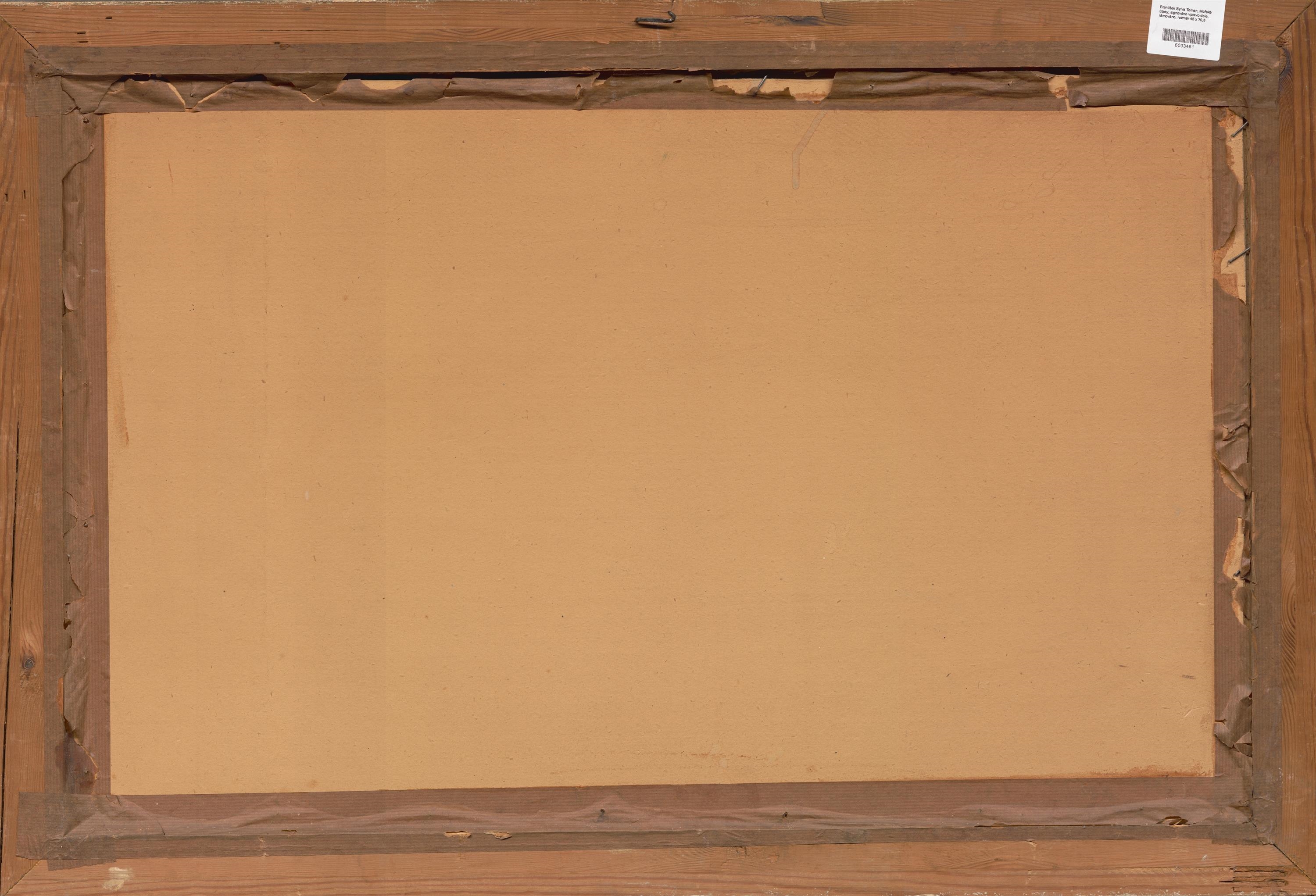 Artwork by František Toman, Mořské útesy, Made of oil on cardboard