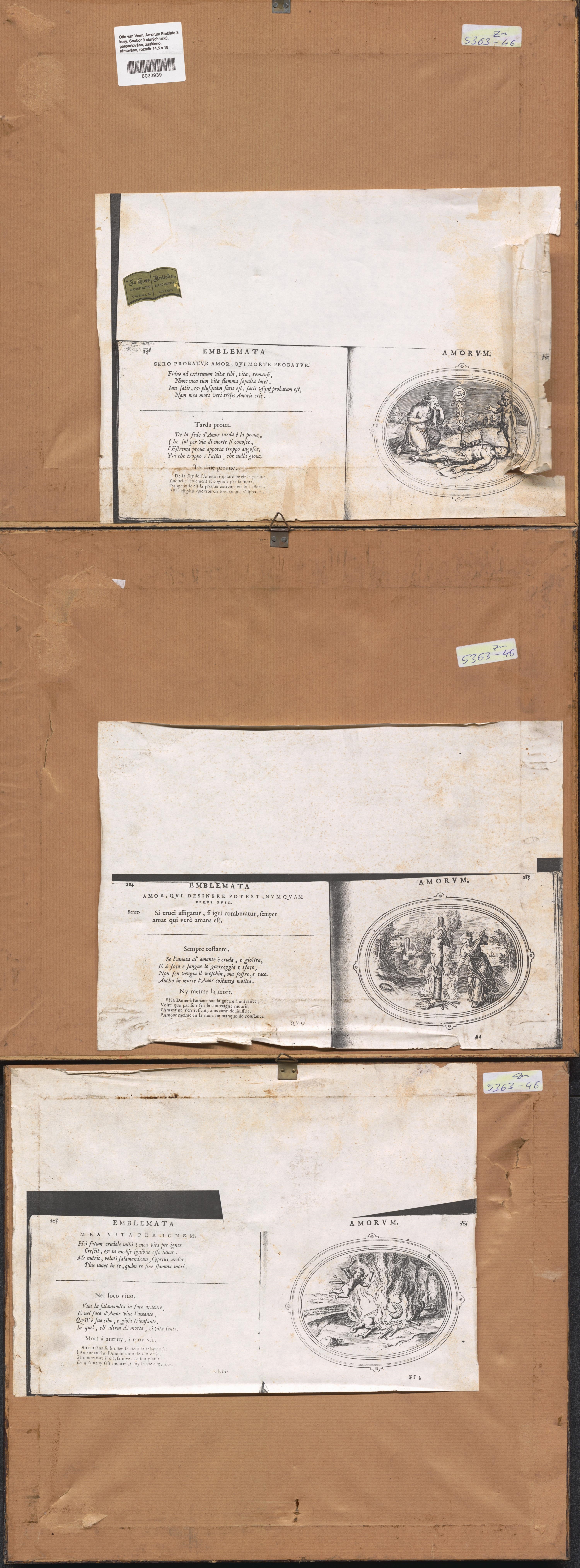 Artwork by Otto van Veen, Amorum Emblata, Made of copperplate