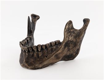 Camilla Taylor: Unkindness