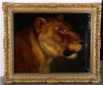 Kopf einer Löwin - Werner Peter
