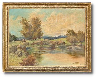 Kameny u vody - František Toman