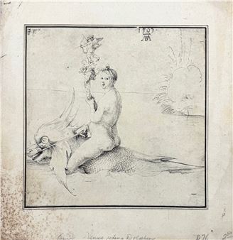Untitled - Albrecht Dürer