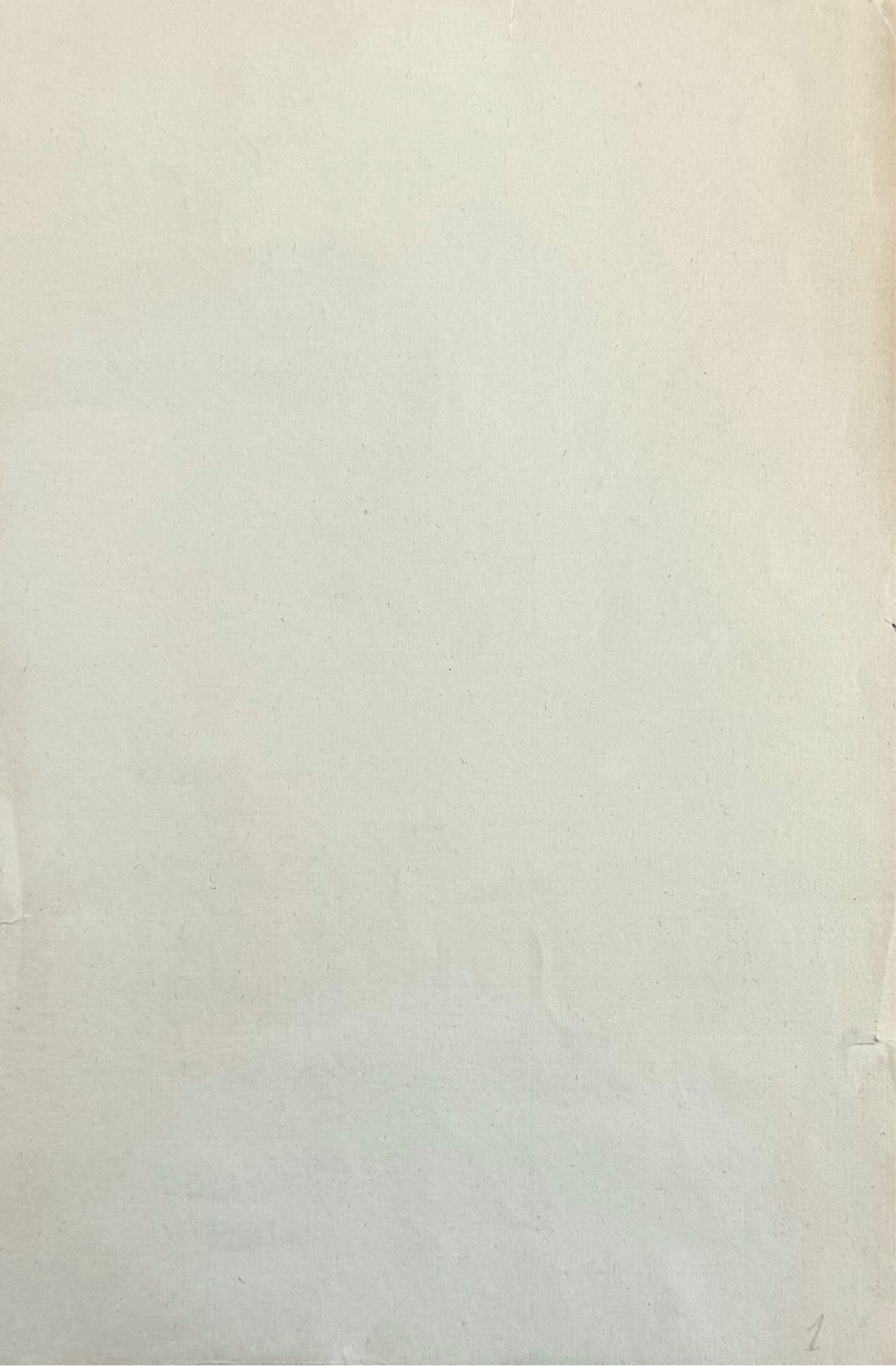 Artwork by Henri Rousseau, Flowers, Made of Pencil On Paper