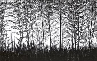 Trees - Beverly Coates