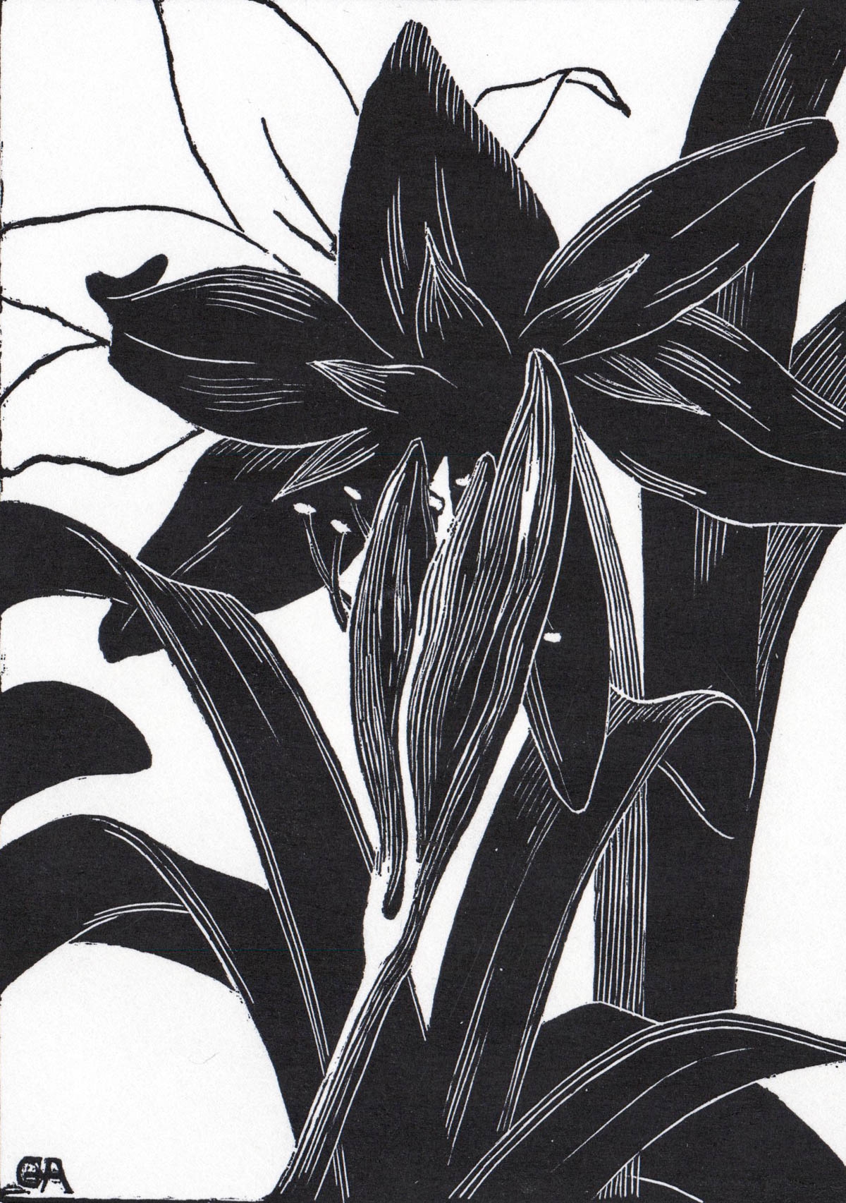 Grace Arnold Albee | Grace Thurston Arnold Albee Woodcut | MutualArt