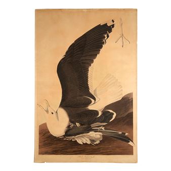 Americana - Bonhams Skinner Marlborough