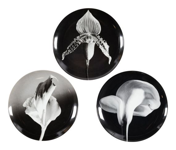 Robert Mapplethorpe and Swid Powell
(American, 1946–1989 | 20th century)
Calla Lily, Flower, and Orc - Robert Mapplethorpe