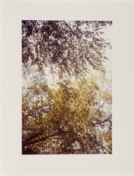 William Eggleston
(American, b. 1939)
Untitled, 1978 - William Eggleston