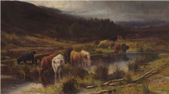 HIGHLAND CATTLE WATERING IN A MOUNTAIN POOL