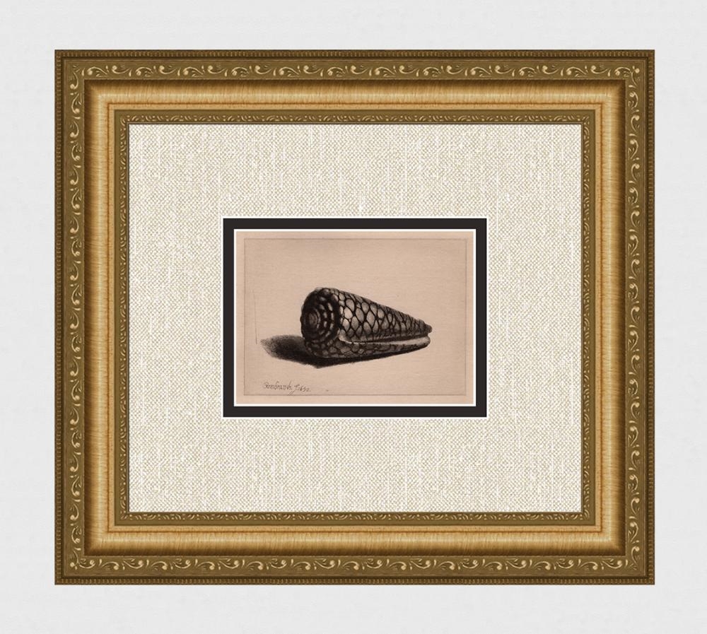 Rembrandt van Rijn | The Shell (1880) | MutualArt