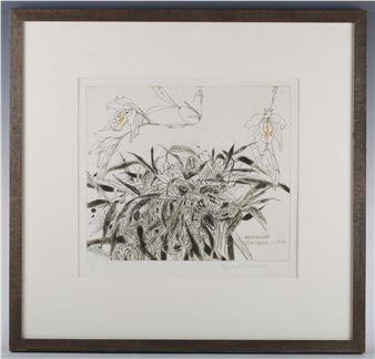 Orchidaceae Coelogyne cristato