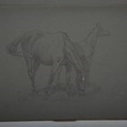 Artwork by James Albert Buchanan Jay, Three military studies of officers in uniform, Made of Pencil, Two Heightened With White And On Grey Paper, Pen And Ink