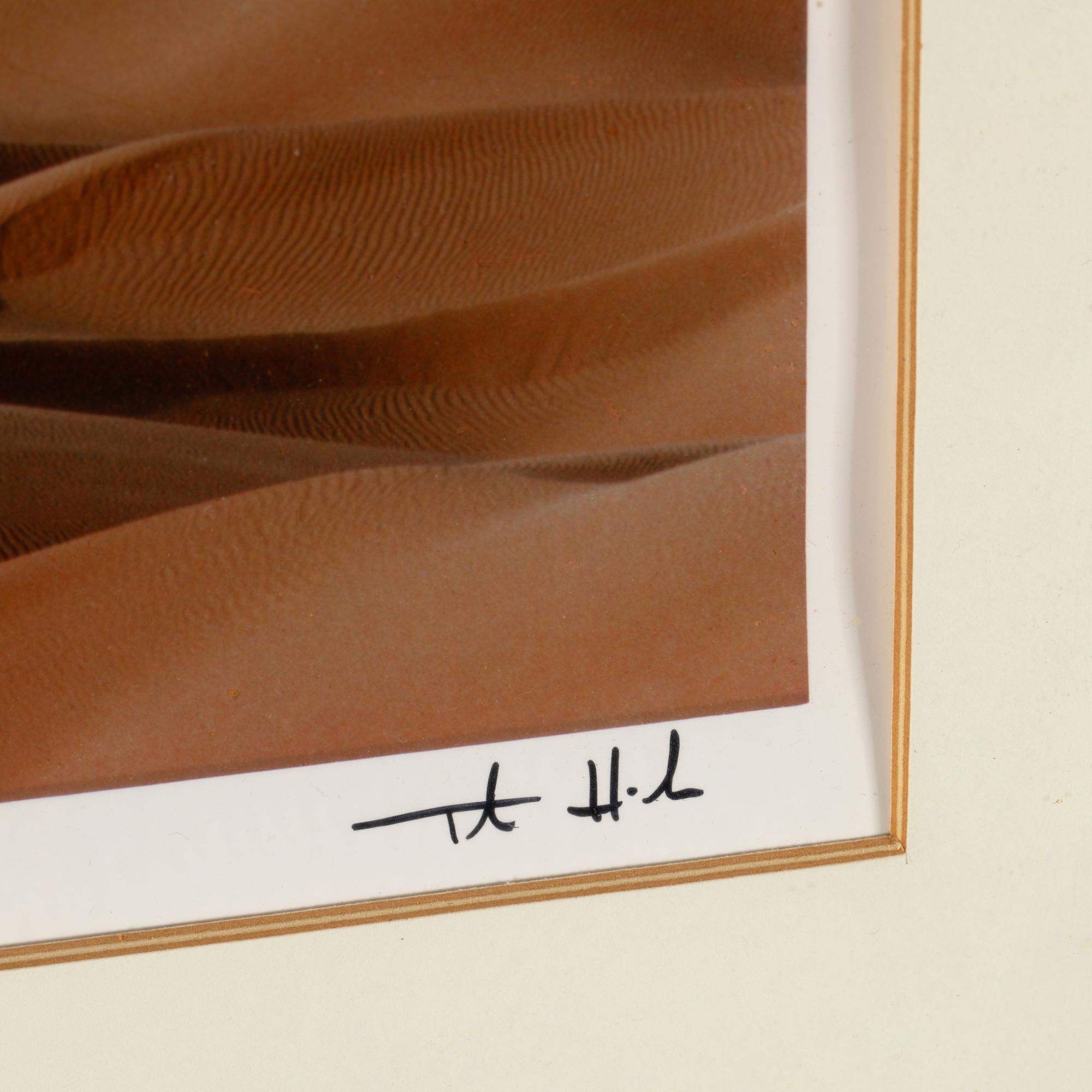 Artwork by Heinz Mack, Thomas Höpker, Photograph from the series 'Expedition in kÃ¼nstliche GÃ¤rten, Made of Color Photograph (Dye Transfer) On Paper