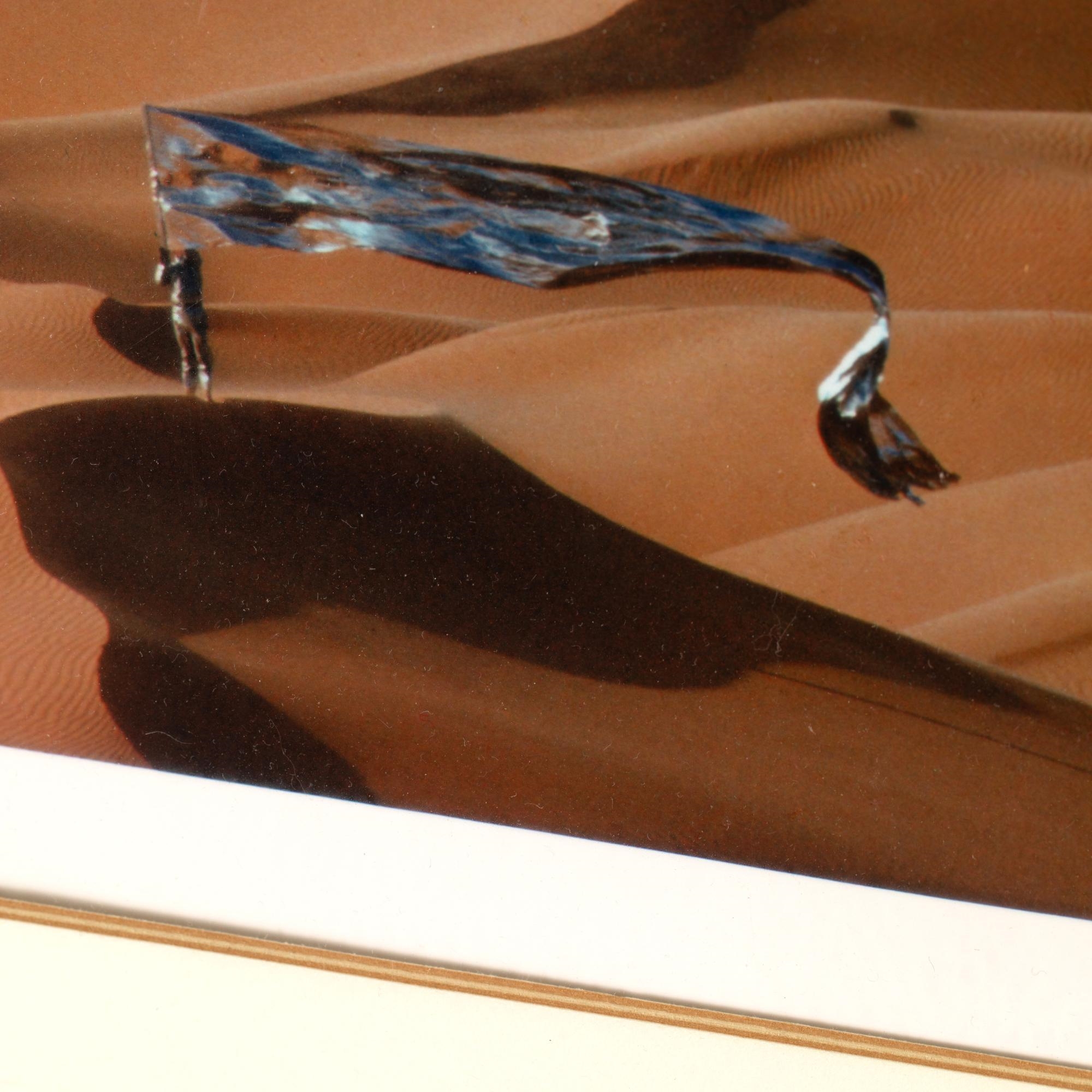 Artwork by Heinz Mack, Thomas Höpker, Photograph from the series 'Expedition in kÃ¼nstliche GÃ¤rten, Made of Color Photograph (Dye Transfer) On Paper