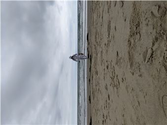 Sage Ni’Ja Whitson: These Walking Glories - California African American Museum