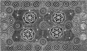 Bush Seed Flower - Geraldine Riley Napangardi