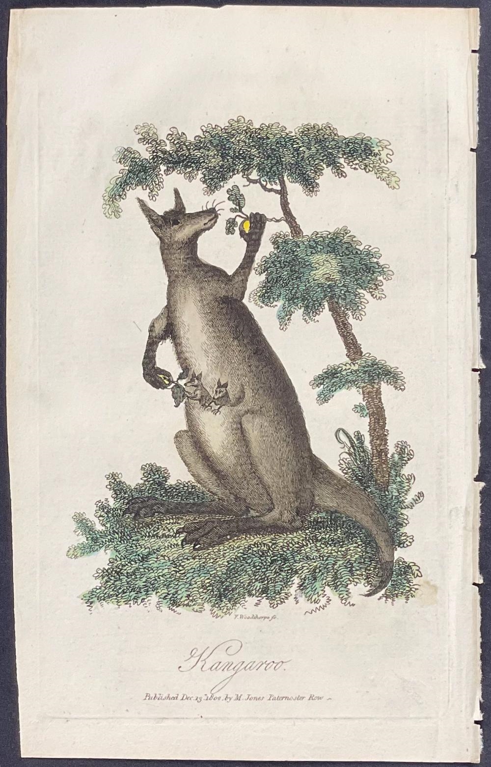 George Barrington | The History of New South Wales, including Botany ...