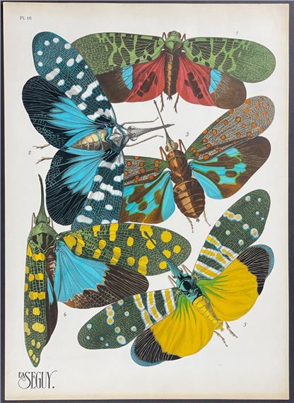 Émile-Allain Séguy | Hornet, Flying Insects (1928) | MutualArt