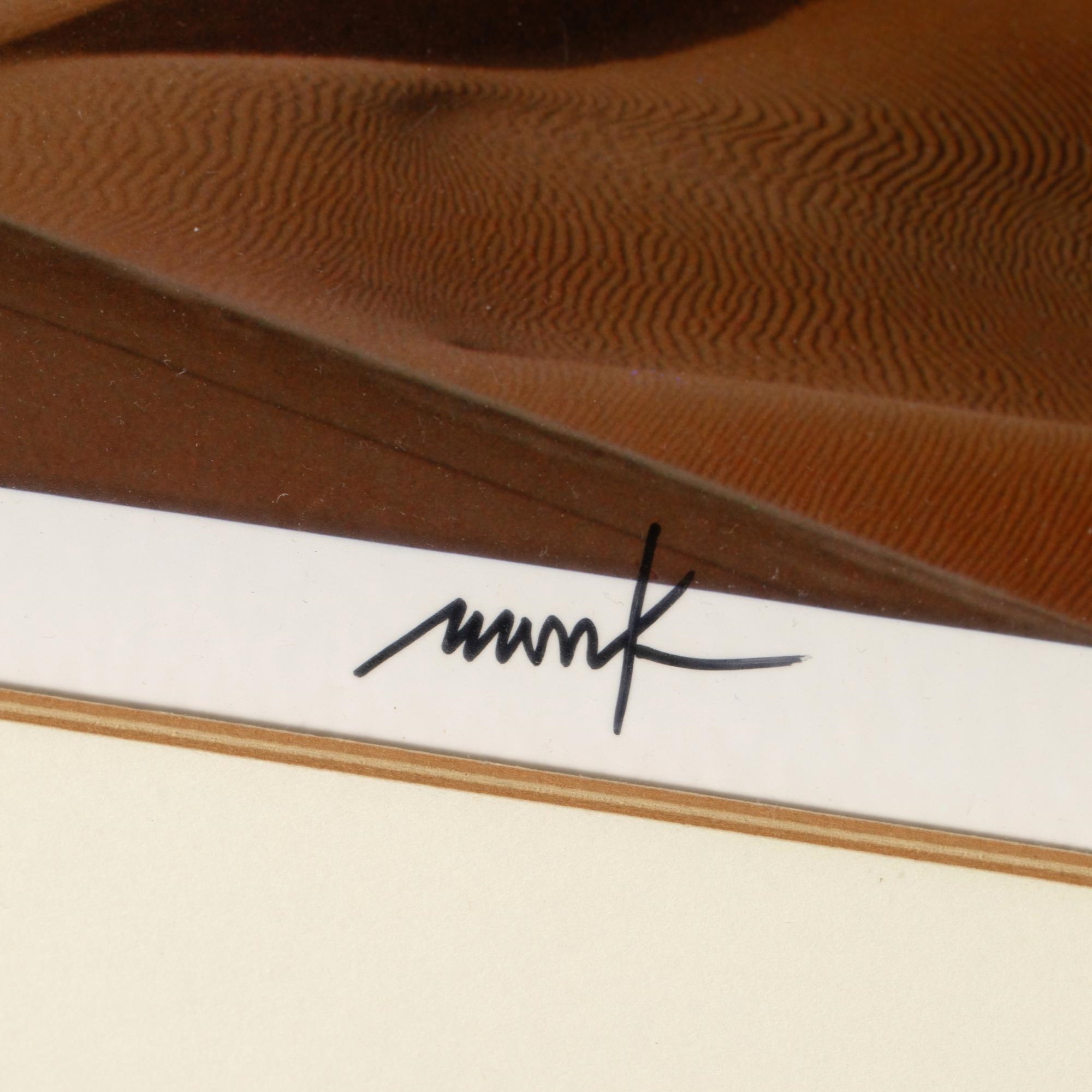 Artwork by Heinz Mack, Thomas Höpker, Photograph from the series 'Expedition in kÃ¼nstliche GÃ¤rten, Made of Color Photograph (Dye Transfer) On Paper