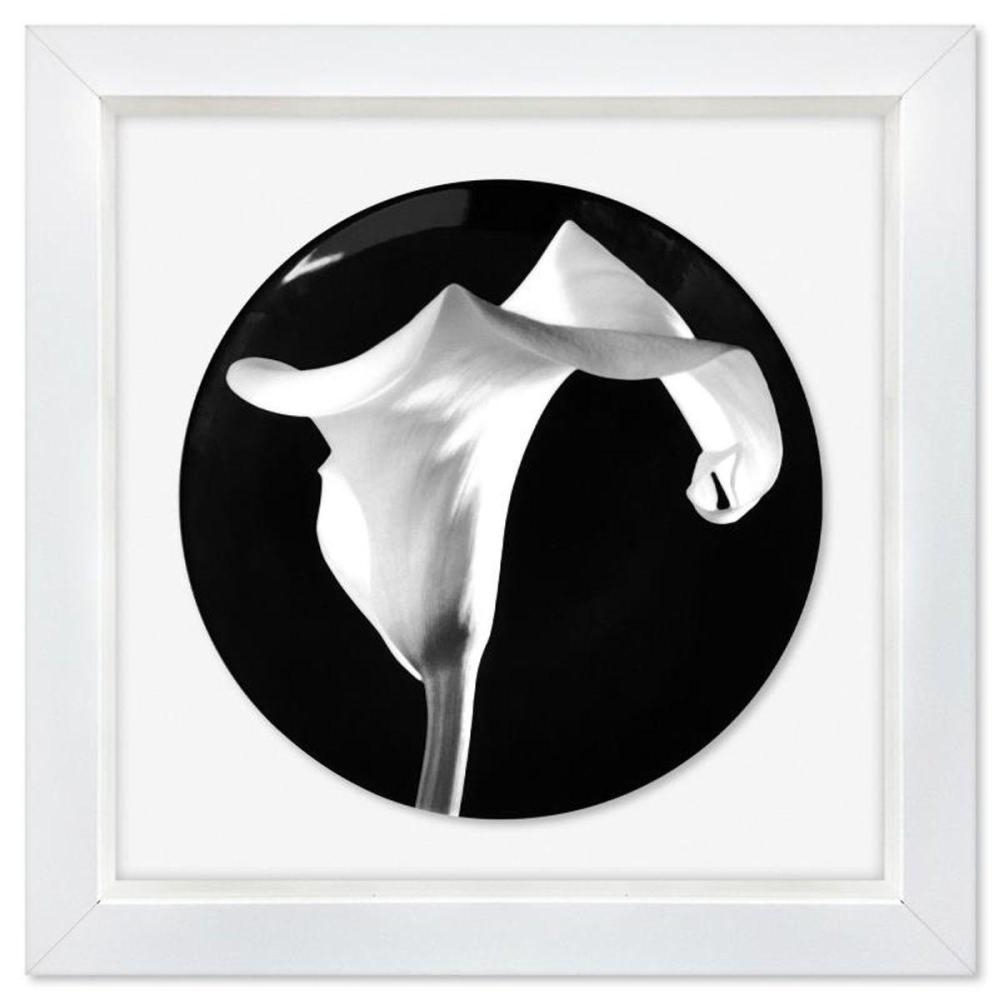 Artwork by Robert Mapplethorpe, Calla Lily, Made of Limoges Porcelain