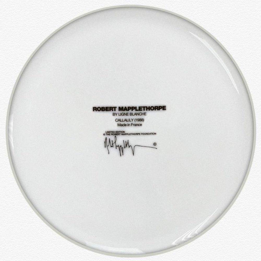 Artwork by Robert Mapplethorpe, Calla Lily, Made of Limoges Porcelain