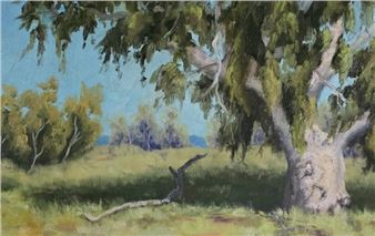 James Stojko: Under the Open Sky - Benalla Art Gallery