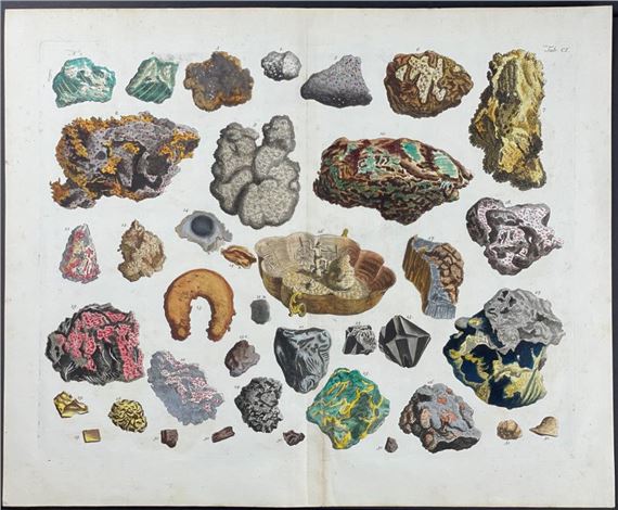 Fossils by Albertus Seba, 1734-1765