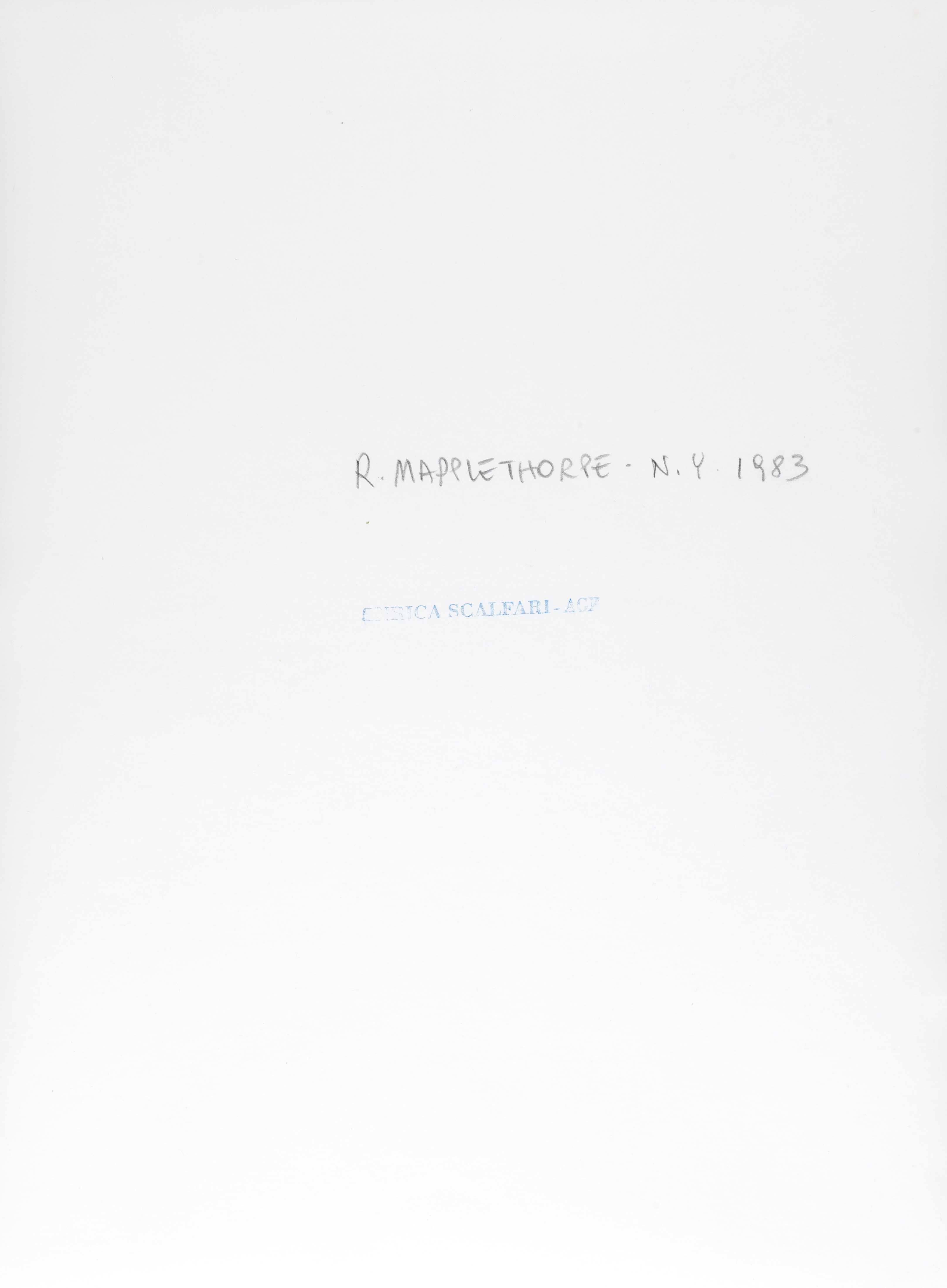 Artwork by Robert Mapplethorpe, ENRICA SCALFARI (*1955)
Robert Mapplethorpe in his studio, New York 1983, Made of Vintage silver print